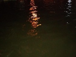 Banjir Selutut Orang Dewasa Landa Kramat Jati Jaktim