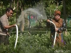 Terungkap! Risma Benarkan Ada yang Coba Menggoyang