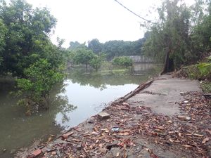 Tembok Kali Krukut Juga Jebol di Kemang Selatan, Kebun pun Jadi Rawa Tembok Kali Krukut Juga Jebol di Kemang Selatan, Kebun pun Jadi Rawa