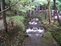 Akhir Pekan Seru ke Air Terjun di Kaki Gunung Lawu