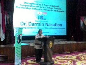 Darmin: Pembangunan Ekonomi Harus Jaga Kelestarian Lingkungan