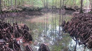 Danau Udang Merah yang Cantik & Dikeramatkan
