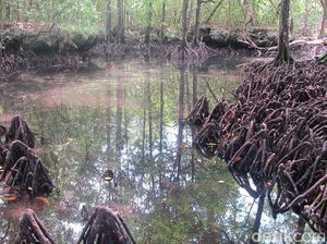 Danau Udang Merah yang Cantik & Dikeramatkan