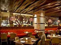 Yuk, Intip Resep Rahasia Asian Fusion dari Akira Back!