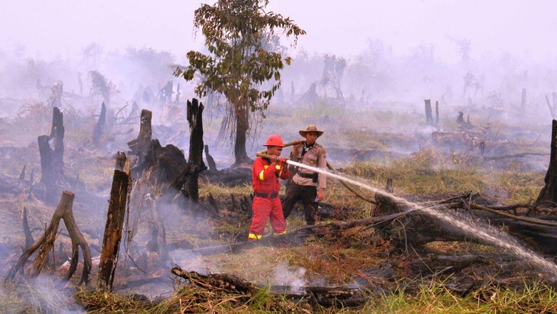 Kapolda Riau yang Baru akan Teliti Lagi SP3 15 Perusahaan Soal Kasus Karhutla