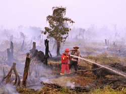 Kapolda Riau yang Baru akan Teliti Lagi SP3 15 Perusahaan Soal Kasus Karhutla