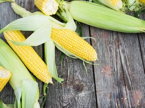 Konflik Rusia-Ukraina Bikin Harga Gandum-Jagung Meroket, RI Kena Dampak?