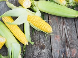 Serat Larut dalam Jagung Dapat Cegah Kerapuhan Tulang pada Wanita