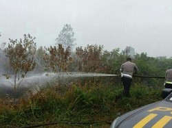 Polisi Berjibaku Padamkan Kebakaran Lahan Gambut di Kampar