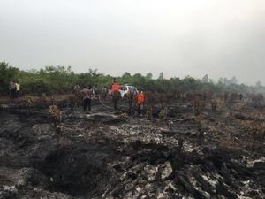 Menelisik Sinyal DPR Soal Perusahaan Fiktif Jadi Tersangka Kebakaran Hutan