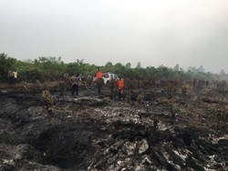 Eksklusif Rekaman Drone Penyanderaan Tim KLHK di Riau