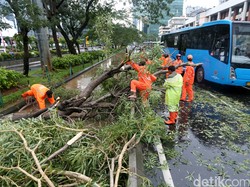 Frekuensi Potensi Angin Kencang Meningkat, BMKG Imbau Warga Waspada