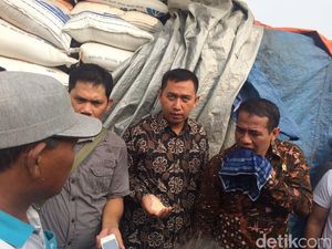 Mentan: Harga Beras di Petani Rendah, Bagaimana Mau Swasembada?