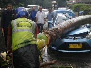 Pohon Tumbang di Jakpus Timpa Taksi Hingga Ringsek Berat, Ini Penampakannya Pohon Tumbang di Jakpus Timpa Taksi Hingga Ringsek Berat, Ini Penampakannya