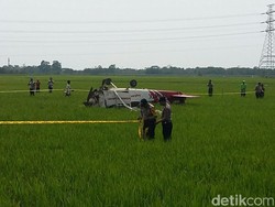 Mesin Mati, Begini Momen sebelum Pesawat Mendarat dan Terbalik di Sawah