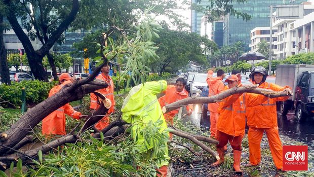 Hadapi Pancaroba, Jakarta Pangkas Ranting dan Tebangi [EMB-3]