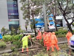 Jakarta Diguyur Hujan Deras Disertai Petir, Waspada Pohon Tumbang!