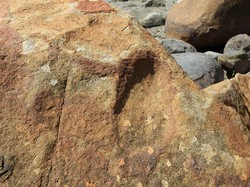 Ini Video Penampakan Jejak Kaki yang Konon Milik Cheng Ho