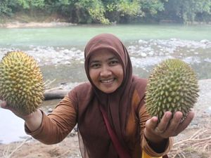 Berburu Durian di Aceh, Bisa! Berburu Durian di Aceh, Bisa!