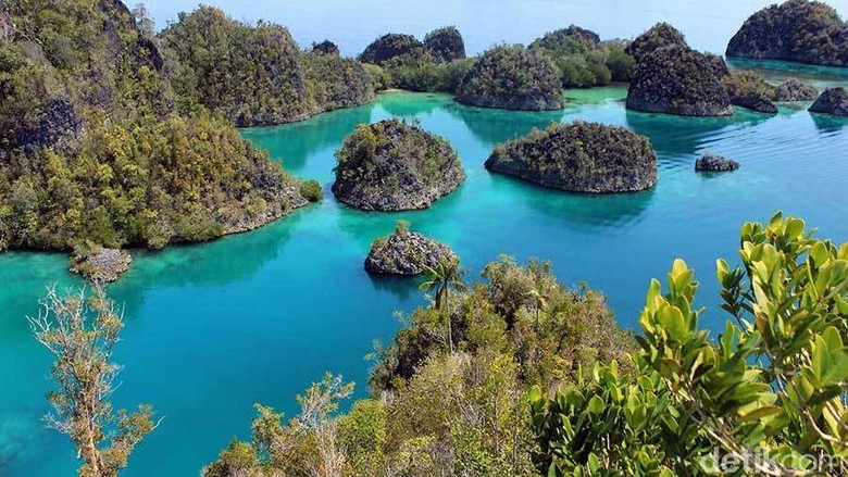 Raja Ampat, salah satu destinasi wisata bawah bahari terbaik di Indonesia (Randy/detikTravel)