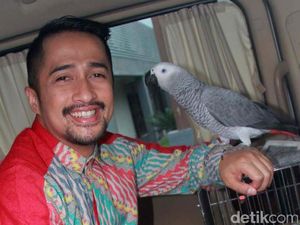 Istri Hamil Anak ke-5, Irfan Hakim Beri Cucu ke-41 untuk Orangtua