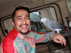 Tajir! 5 Presenter Paling Sukses di Indonesia