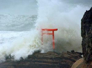 Topan Lionrock Tewaskan 9 Orang di Panti Jompo Jepang