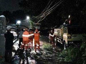 Tiang Listrik di Pondok Labu Roboh Akibat Tertimpa Pohon Tumbang Tiang Listrik di Pondok Labu Roboh Akibat Tertimpa Pohon Tumbang