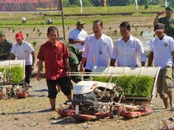 KTNA Minta Bulog Serap Gabah Petani