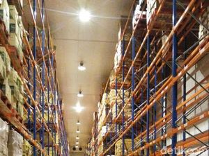 Impor Daging Kerbau Bakal Ditambah, Darmin: Persiapan Lebaran 2017