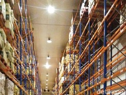 Bulog Mau Tambah Impor 70.000 Ton Daging Kerbau, Ini Kata Mentan