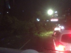 Banyak Pohon Tumbang, Tol JORR dan Tol Dalkot Macet Parah