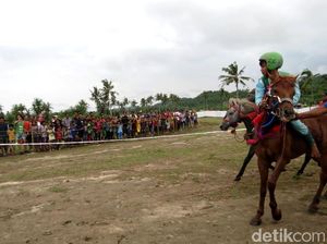 Atraksi Kuda yang Seru di Lombok dan Sumba