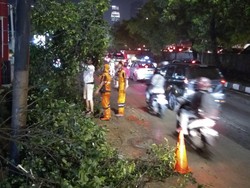 35 Rumah Rusak dan 41 Pohon Tumbang Akibat Hujan dan Angin Kencang di Jaksel