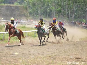 Peringati HUT, Pemkab Pasuruan Gelar Pacuan Kuda Bupati Cup