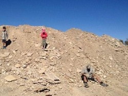 Kekeringan Picu Banyak Temuan Tulang Dinosaurus