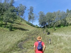 Kemping Ceria di Ranu Kumbolo