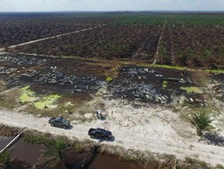 Ini Foto Drone KLHK Bukti Kebakaran Hutan di Riau, Sisanya Dirampas Penyandera