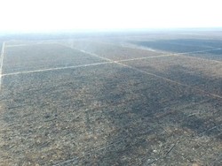 Tim KLHK Disandera Saat Investigasi Kebakaran Hutan di Riau, Ini Kronologinya