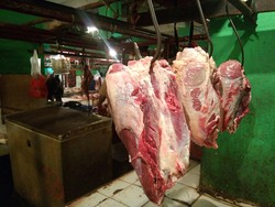 Seberapa Efektif Impor Daging Kerbau Turunkan Harga Daging Sapi?