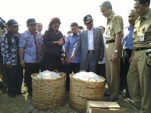Garam di Jepara Dibeli Tengkulak Rp 300/kg, Ini Kata Susi