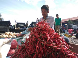 Harga Cabai di Pasar Rp 90.000/kg, Berapa di Tingkat Petani?