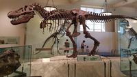 Seperti Ini Museum yang Keren di Amerika