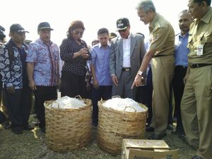 Blusukan ke Kampung Nelayan di Jepara, Susi Lihat Hasil Garam