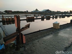 RI Punya Garis Pantai Panjang, Tapi Kenapa Masih Impor Garam?