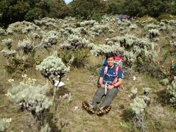 Keindahan Bunga Abadi di Alun-alun Surya Kencana