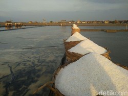 Mengintip Pabrik Garam di Pesisir Pantura