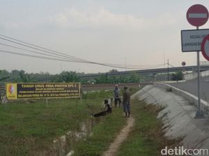 Exxon Mau Jual Saham Blok Minyak Terbesar di RI? Exxon Mau Jual Saham Blok Minyak Terbesar di RI?