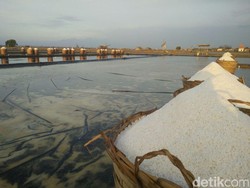 Jokowi: Kalau Tidak Impor Garam, Industri Bisa Berhenti