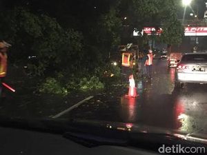 Ratusan Satgasus Rela Begadang Demi Rampingkan Pohon di Surabaya